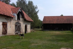 viehstall-und-scheune-wilhelmshof-2004