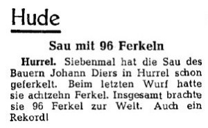 Artikel NWZ Johann Diers Sauen-Rekord
