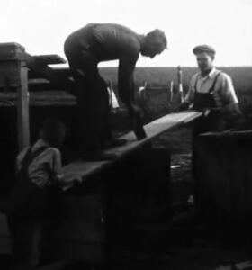 1933