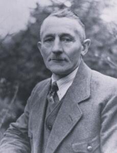 um 1950