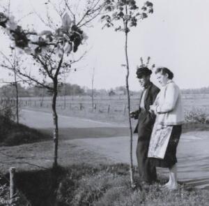 um 1964