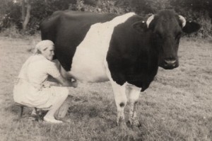 um 1956   