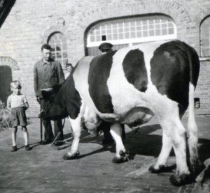 um 1958  