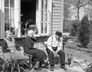 1954   
